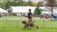 20231006-DSC02290
