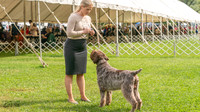 20231006-DSC02302