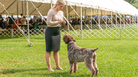 20231006-DSC02304