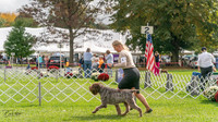 20231006-DSC02310