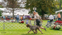 20231006-DSC02306