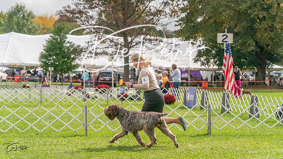 20231006-DSC02315