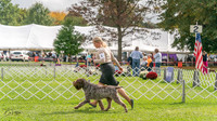 20231006-DSC02319