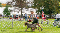 20231006-DSC02311