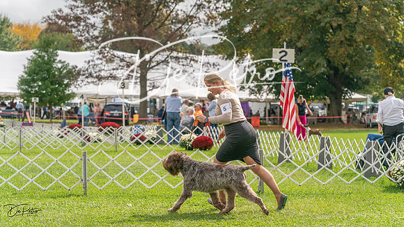 20231006-DSC02311