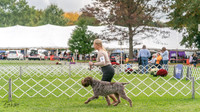 20231006-DSC02271