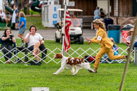20231006-DSC05154