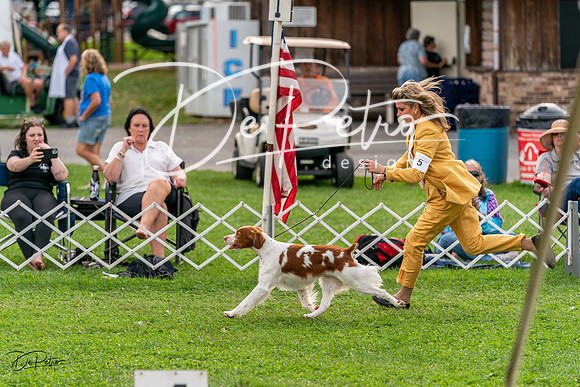 20231006-DSC05154