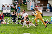 20231006-DSC05158