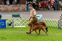 20231006-DSC05164