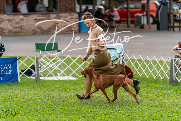 20231006-DSC05164