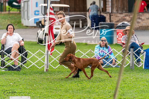 20231006-DSC05171