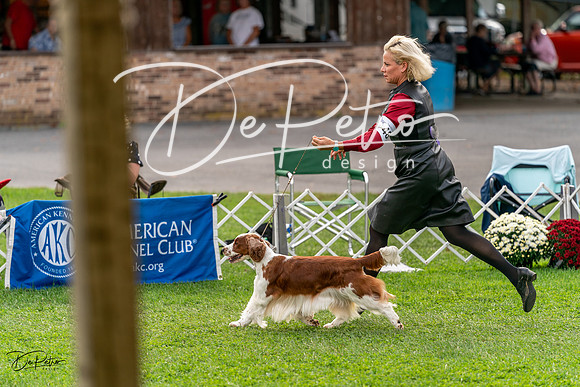 20231006-DSC05187