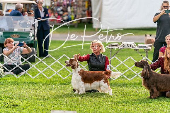 20231006-DSC05225