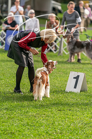 20231006-DSC05231