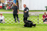20231006-DSC05117