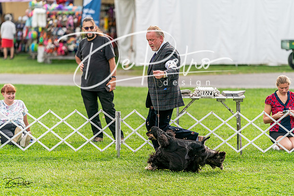 20231006-DSC05117