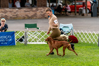 20231006-DSC05165