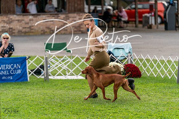 20231006-DSC05165