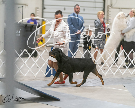 20250302-DSC07800