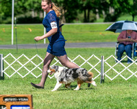 20250629-DSC00835