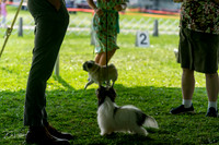 20240816-DSC00138
