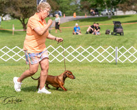 20250628-DSC08405