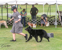 20250628-DSC08887