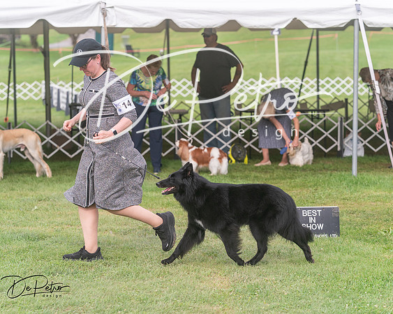 20250628-DSC08887