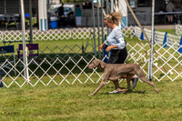 20230903-DSC02785