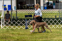 20230903-DSC02790