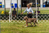 20230903-DSC02792