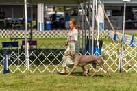 20230903-DSC02798