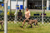20230903-DSC02816