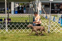20230903-DSC02806