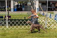 20230903-DSC02818