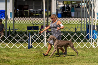 20230903-DSC02823
