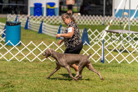 20230903-DSC02832