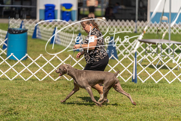 20230903-DSC02832