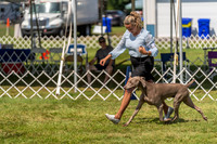 20230903-DSC02843