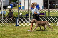 20230903-DSC02840