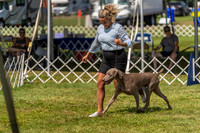 20230903-DSC02848