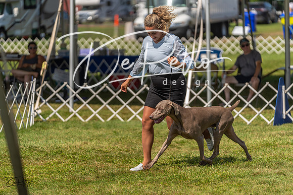 20230903-DSC02848