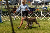 20230903-DSC02851