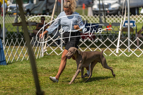 20230903-DSC02851