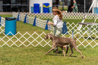 20230903-DSC02854