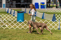 20230903-DSC02857