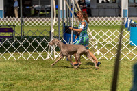 20230903-DSC02867