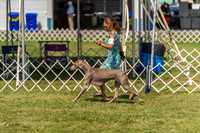 20230903-DSC02870