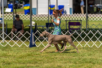 20230903-DSC02875